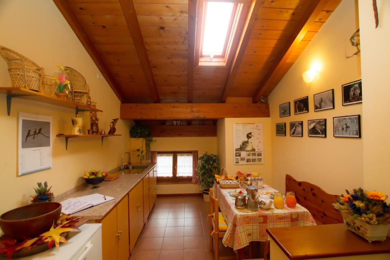 Guest House Il Nido Dello Svasso -Foresteria Lombarda- Sorico Extérieur photo